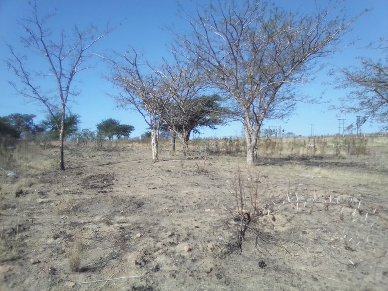 2. 5 HECTARES FARM LAND FOR RENTAL - Photo 8