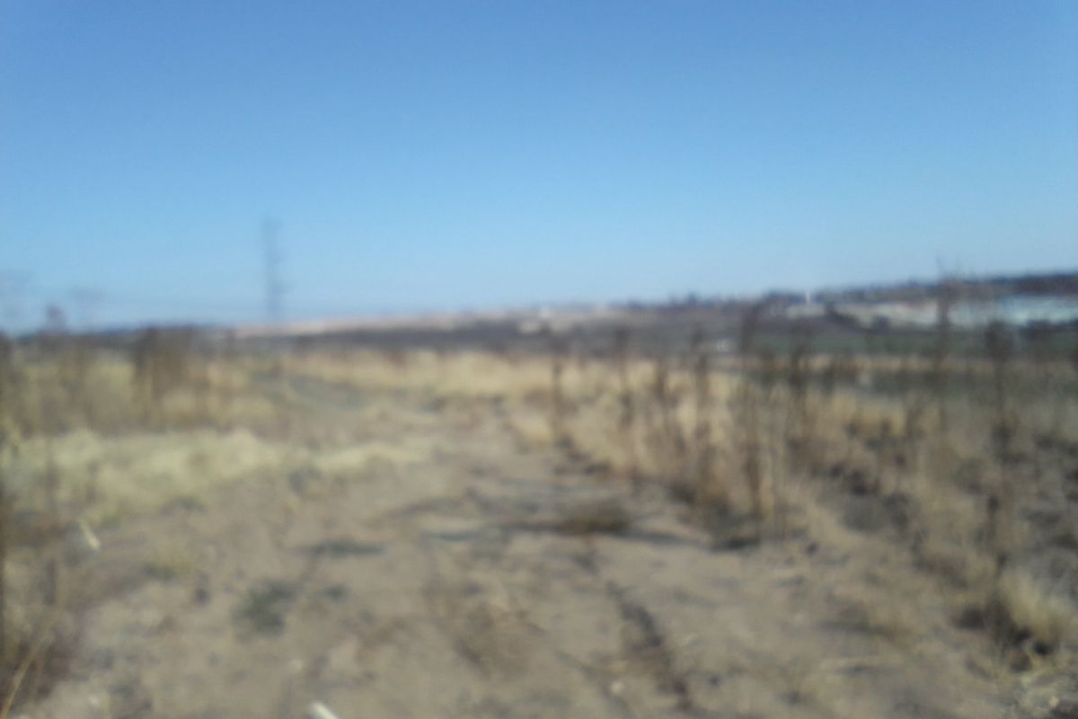 2. 5 HECTARES FARM LAND FOR RENTAL - Photo 4