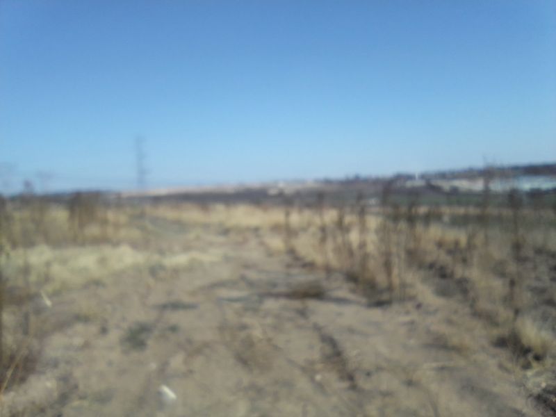 2. 5 HECTARES FARM LAND FOR RENTAL - Photo 4