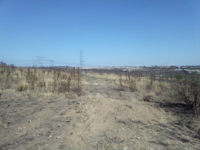 2. 5 HECTARES FARM LAND FOR RENTAL - Photo 6