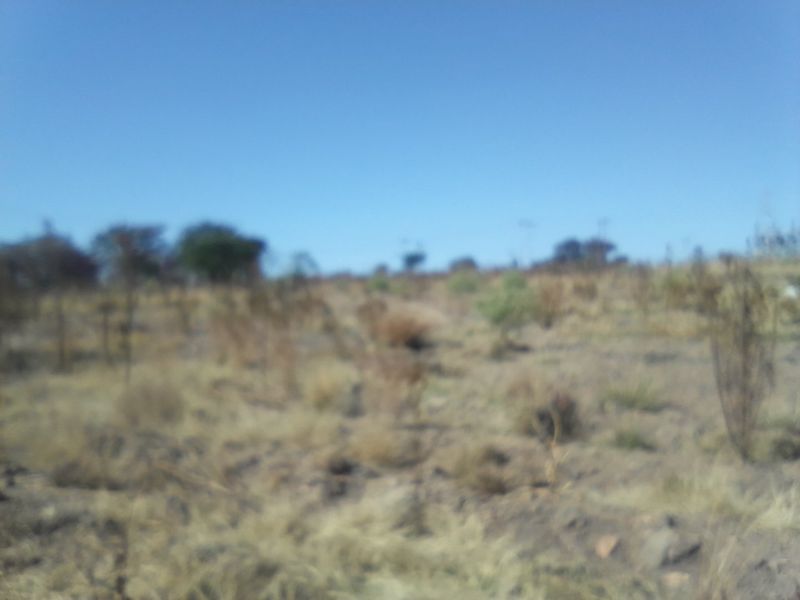 2. 5 HECTARES FARM LAND FOR RENTAL - Photo 2