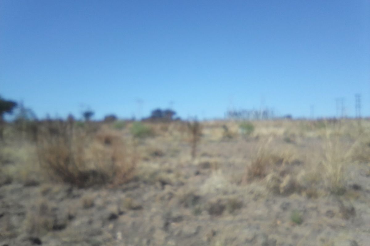 2. 5 HECTARES FARM LAND FOR RENTAL - Photo 3