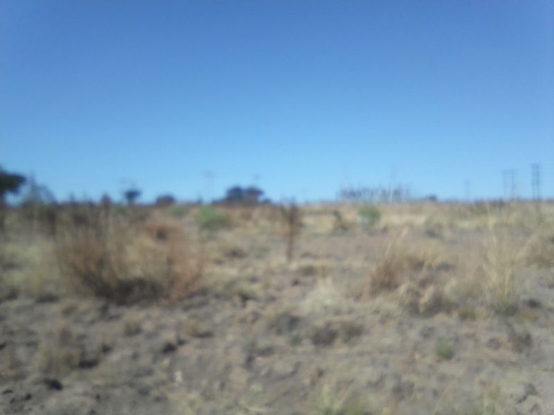 2. 5 HECTARES FARM LAND FOR RENTAL - Photo 3