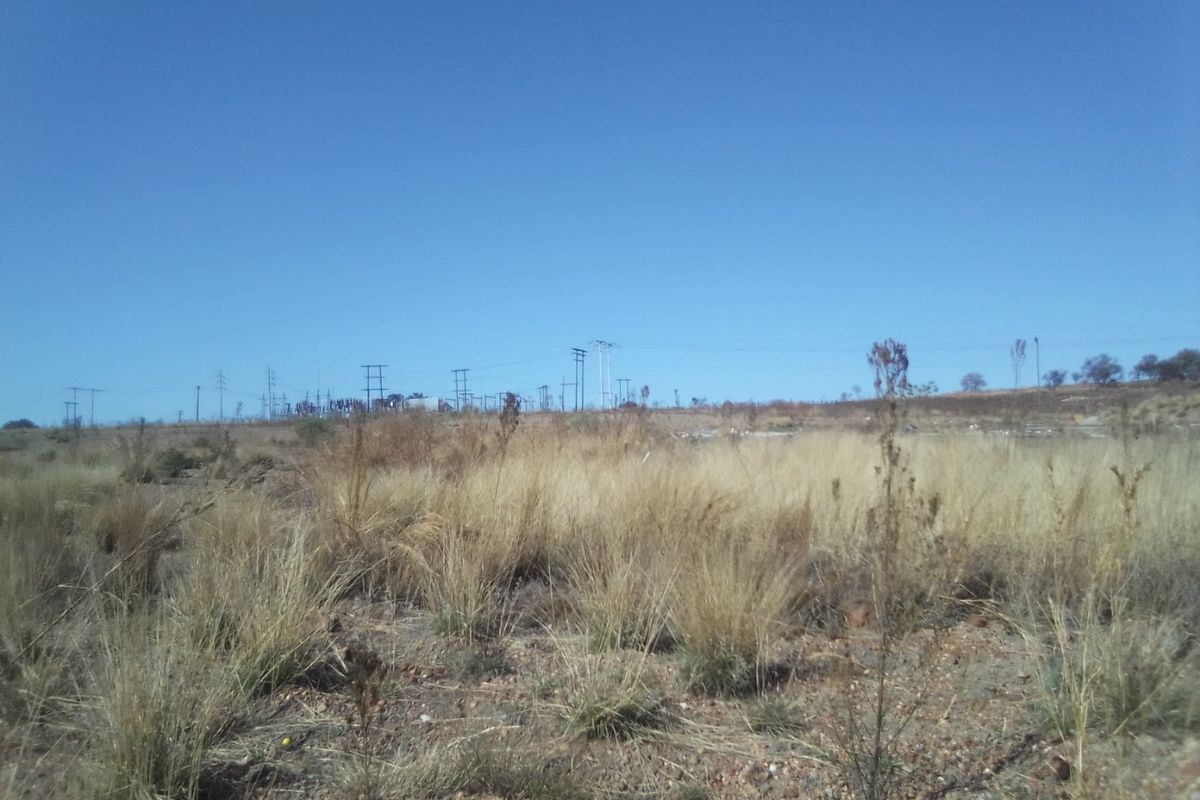 FIVE HECTARES VACANT FARMING LAND PROPERTY FOR RENTAL - Photo 5