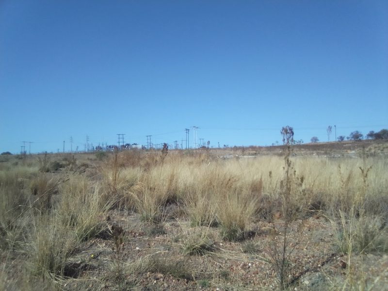 FIVE HECTARES VACANT FARMING LAND PROPERTY FOR RENTAL - Photo 5