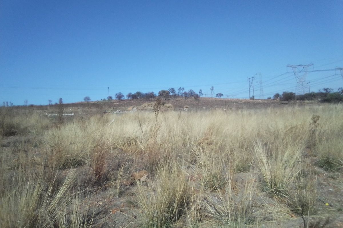 FIVE HECTARES VACANT FARMING LAND PROPERTY FOR RENTAL - Photo 4