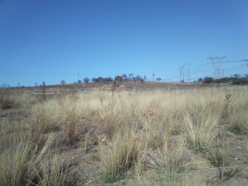 FIVE HECTARES VACANT FARMING LAND PROPERTY FOR RENTAL - Photo 4