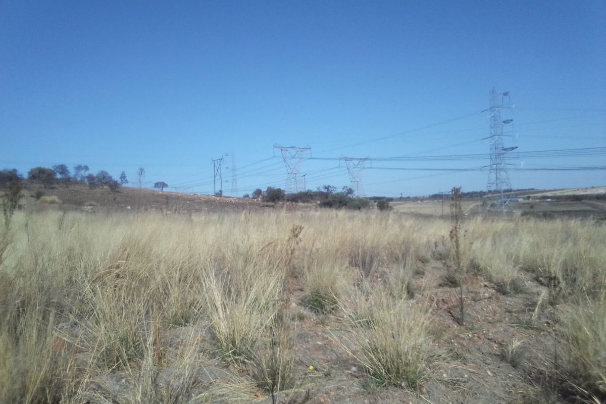 FIVE HECTARES VACANT FARMING LAND PROPERTY FOR RENTAL - Photo 3