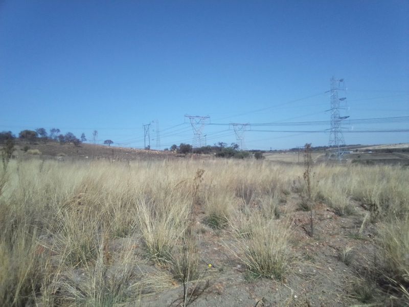 FIVE HECTARES VACANT FARMING LAND PROPERTY FOR RENTAL - Photo 3