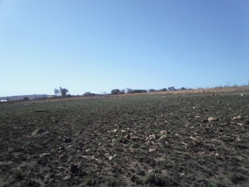 FIVE HECTARES VACANT FARMING LAND PROPERTY FOR RENTAL - Photo 9