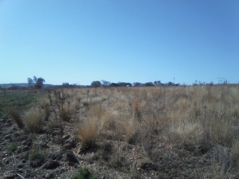 FIVE HECTARES VACANT FARMING LAND PROPERTY FOR RENTAL - Photo 8