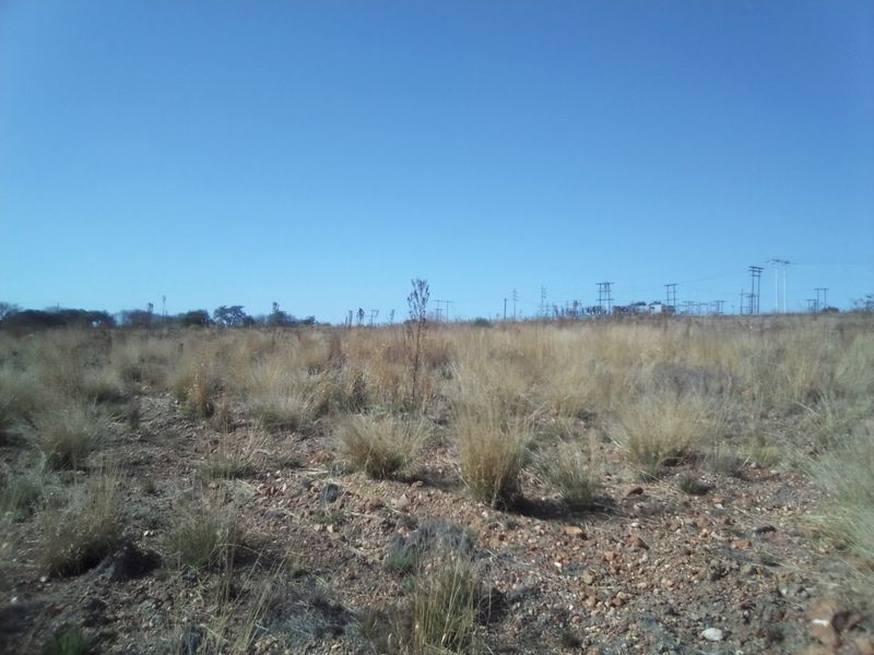 FIVE HECTARES VACANT FARMING LAND PROPERTY FOR RENTAL - Photo 6