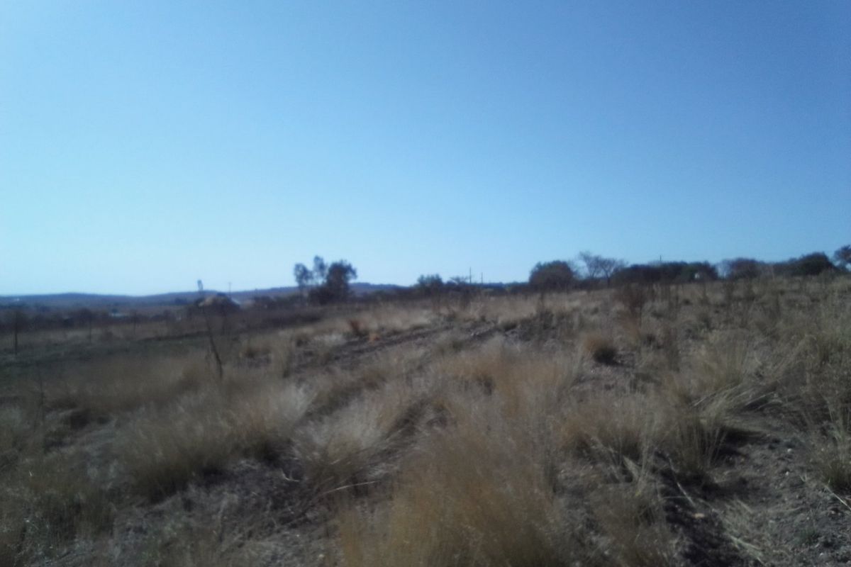FIVE HECTARES VACANT FARMING LAND PROPERTY FOR RENTAL - Photo 2