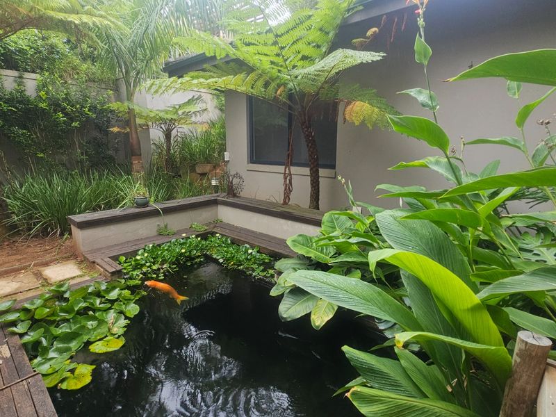 Beachfront property with all the bells and whistles - Photo 7