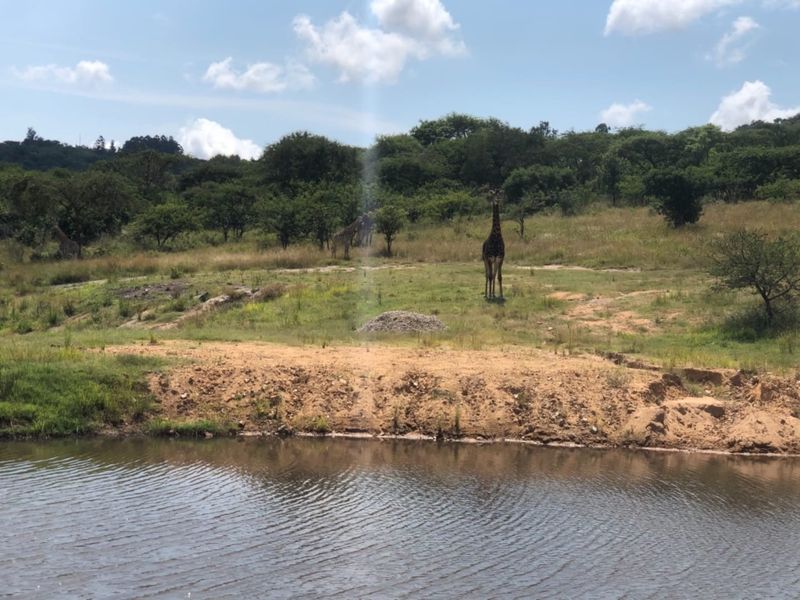 Large Vacant Stand, Magnificent Views, Sought After Estate - Photo 10