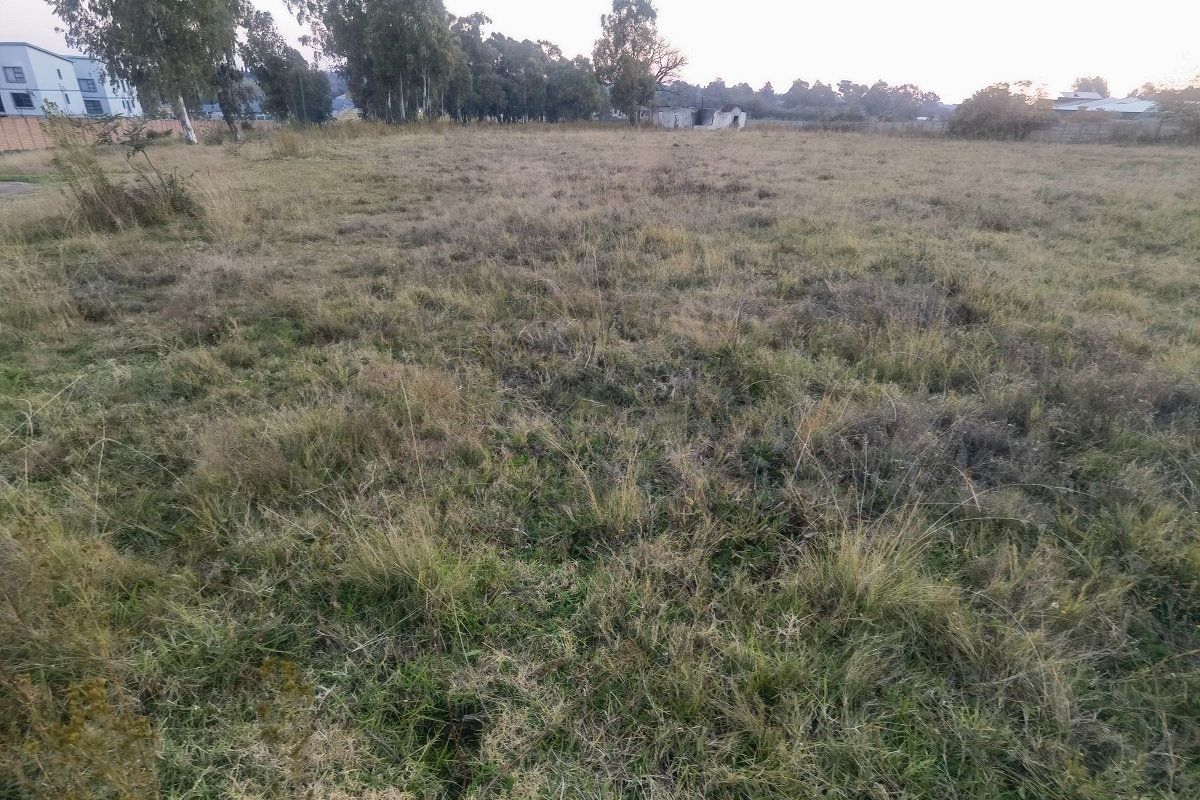 A large, undeveloped plot of land featuring overgrown grass and perimeter fencing, offering a blank canvas for future development or landscaping.