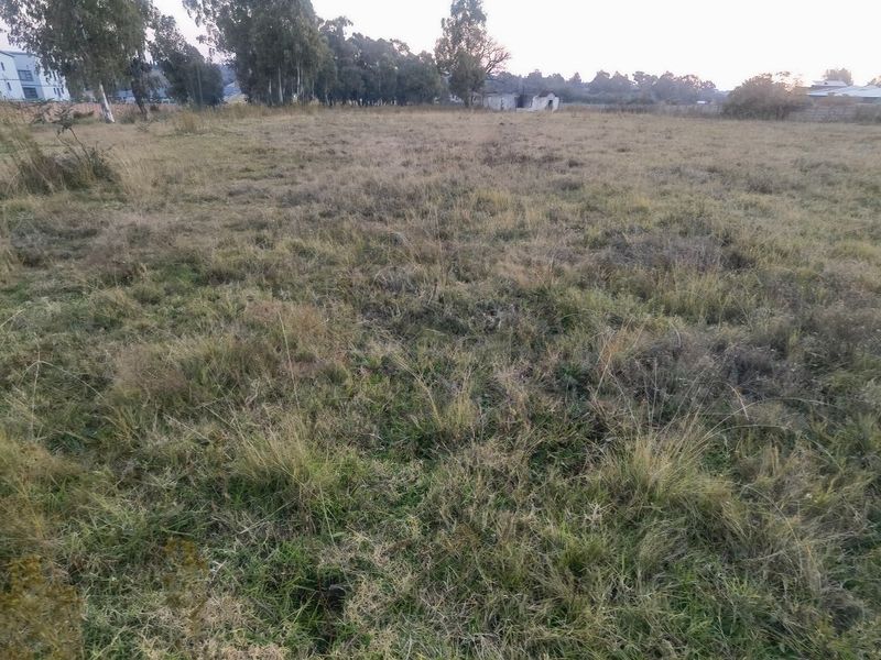 A large, undeveloped plot of land featuring overgrown grass and perimeter fencing, offering a blank canvas for future development or landscaping.