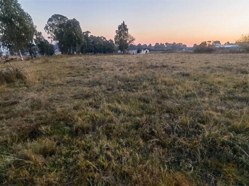 A wide-angle view of an undeveloped, grassy plot of land featuring mature trees in the background at sunset.