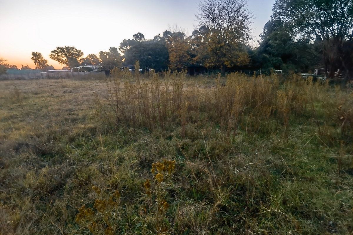A large, undeveloped plot of land featuring overgrown grass and mature trees, offering a natural and expansive outdoor space.
