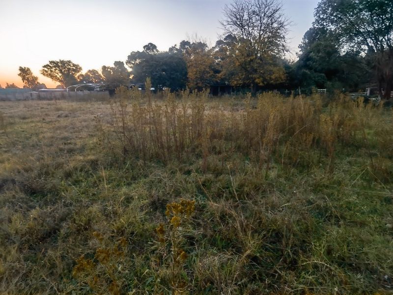 A large, undeveloped plot of land featuring overgrown grass and mature trees, offering a natural and expansive outdoor space.