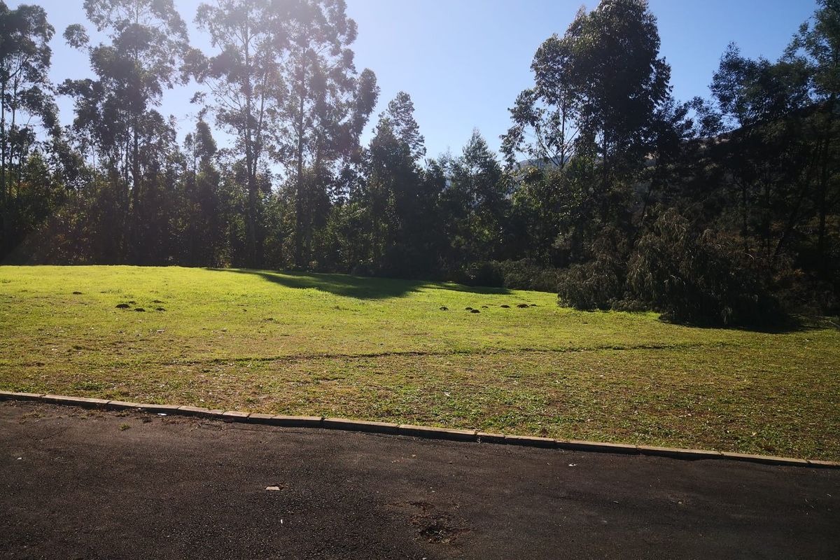 Rare Find in Byrne Village — 4046sqm Corner Plot with 2 Homes! - Photo 3