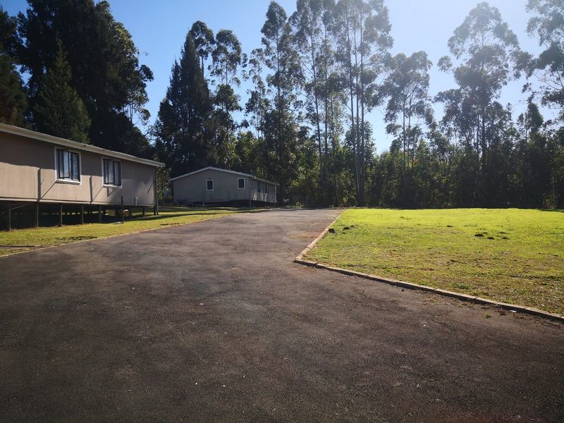 A view of the property exterior featuring an asphalt driveway leading to elevated residential structures surrounded by mature trees and open lawn space.