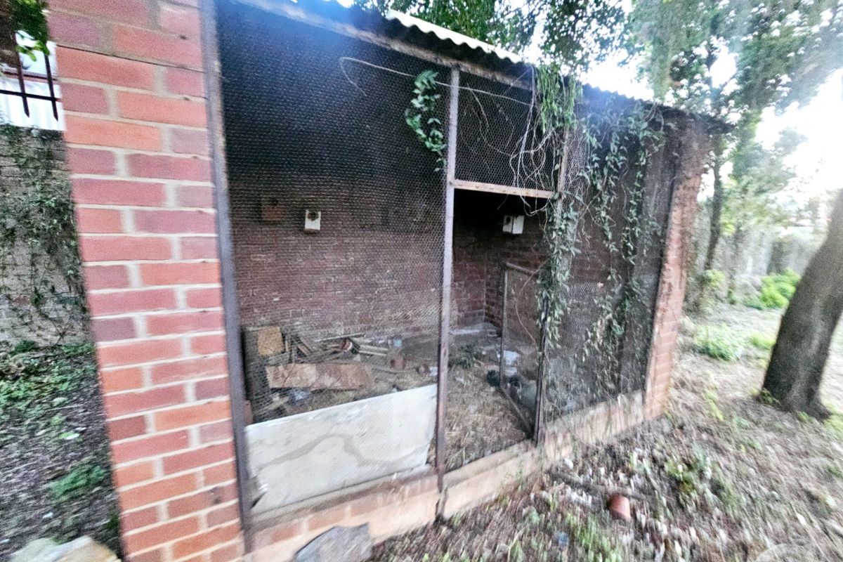 Prime Land for Sale in Muckleneuk, Pretoria - Photo 5