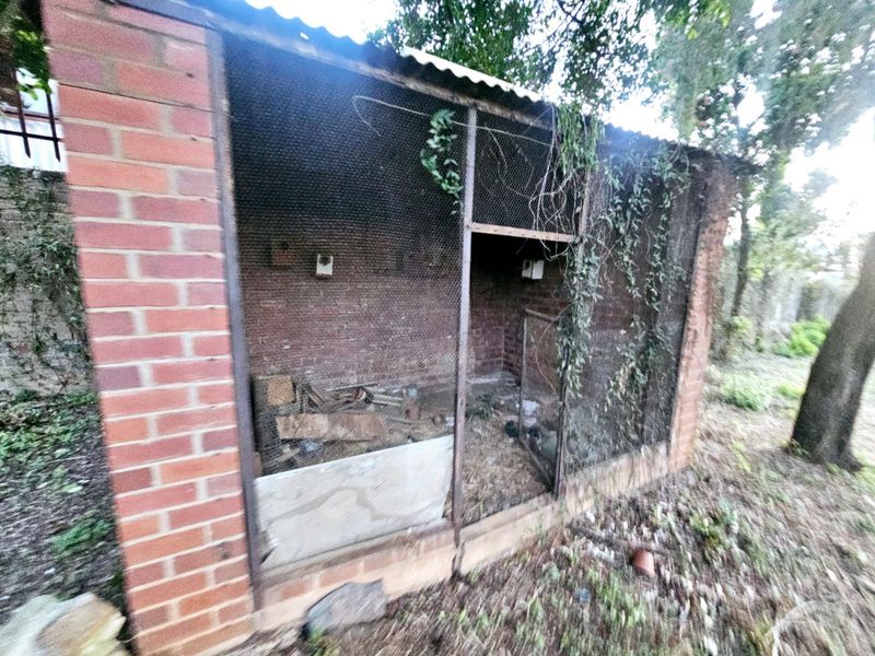 Prime Land for Sale in Muckleneuk, Pretoria - Photo 5