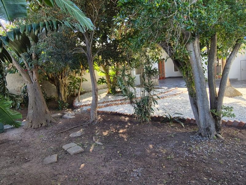 Freshly renovated and modernised  - Photo 4