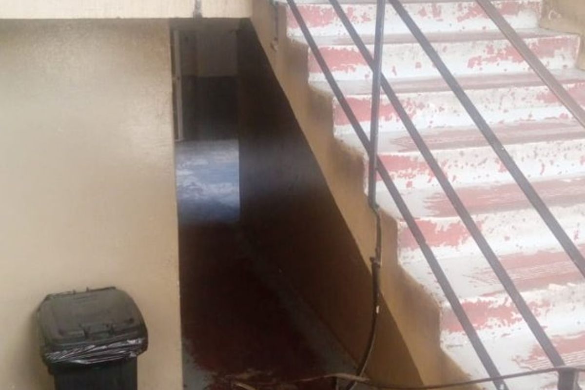 Investors dream coming true - Photo 3