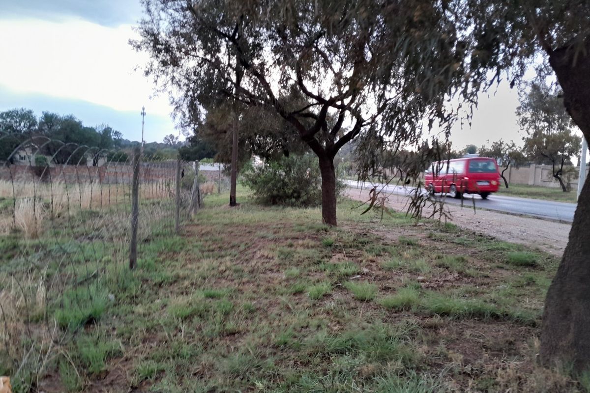A view of the vacant residential land showing the boundary wire fencing and mature trees adjacent to the street.