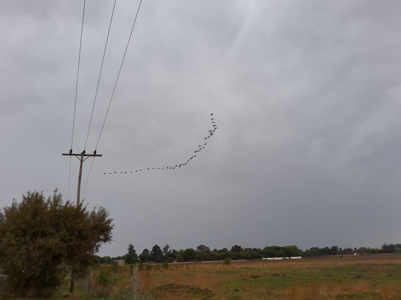 2500 SQUARE METERS VACANT LAND PROPERTY FOR RENT - Photo 8