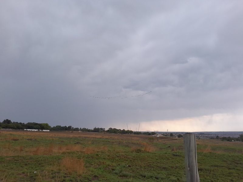 2500 SQUARE METERS VACANT LAND PROPERTY FOR RENT - Photo 7