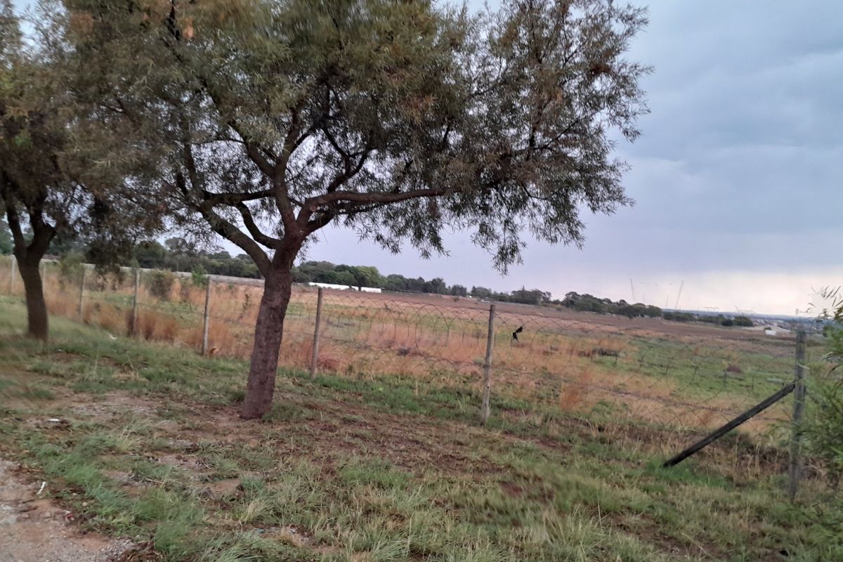 2500 SQUARE METERS VACANT LAND PROPERTY FOR RENT - Photo 3