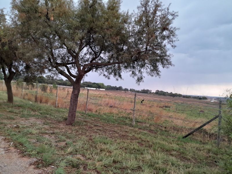 2500 SQUARE METERS VACANT LAND PROPERTY FOR RENT - Photo 3