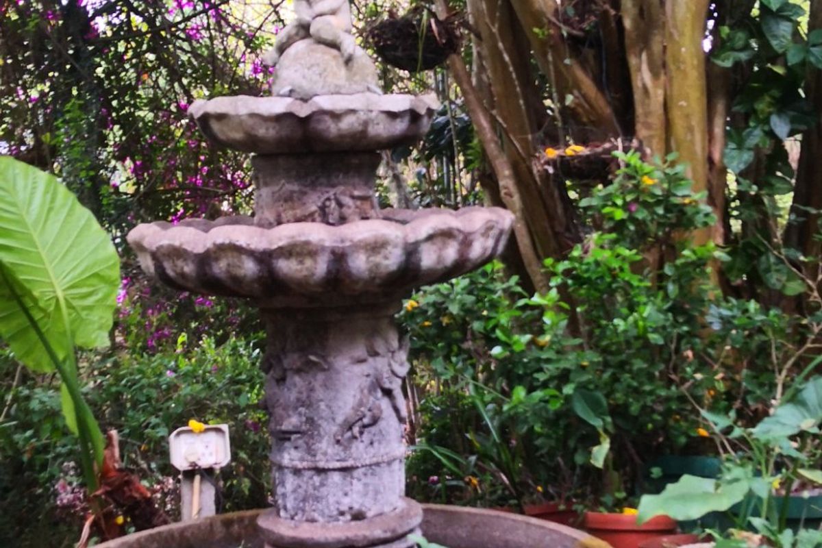 Investment Opportunity: 9-Bedroom, 9-Bathroom Overnight Accommodation in Lush Green Surroundings - Photo 4