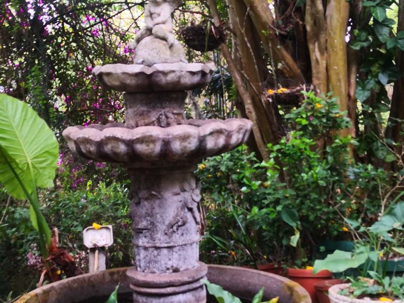 Investment Opportunity: 9-Bedroom, 9-Bathroom Overnight Accommodation in Lush Green Surroundings - Photo 4