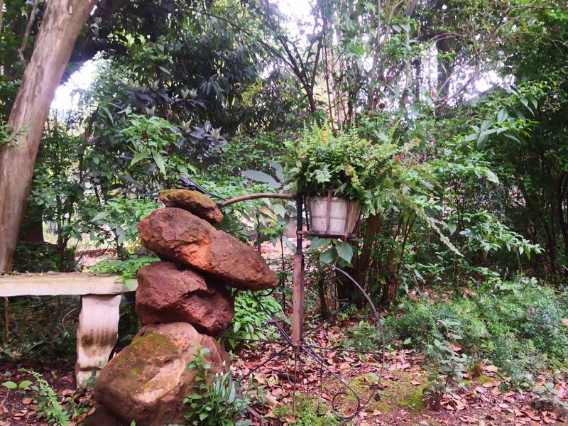 Investment Opportunity: 9-Bedroom, 9-Bathroom Overnight Accommodation in Lush Green Surroundings - Photo 3