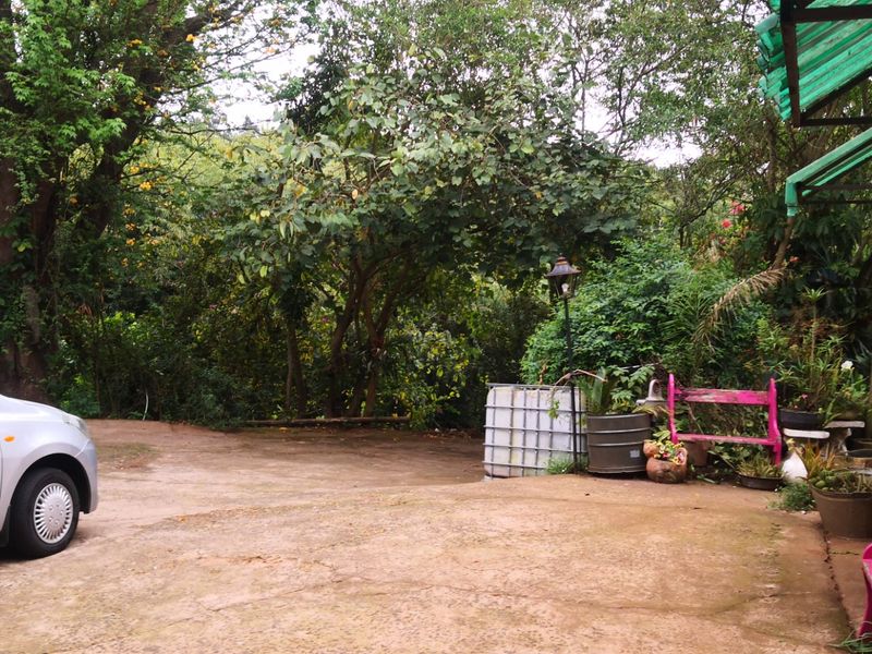 Investment Opportunity: 9-Bedroom, 9-Bathroom Overnight Accommodation in Lush Green Surroundings - Photo 6