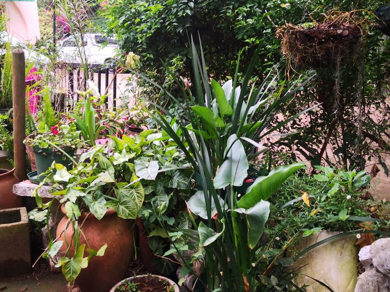 Investment Opportunity: 9-Bedroom, 9-Bathroom Overnight Accommodation in Lush Green Surroundings - Photo 7