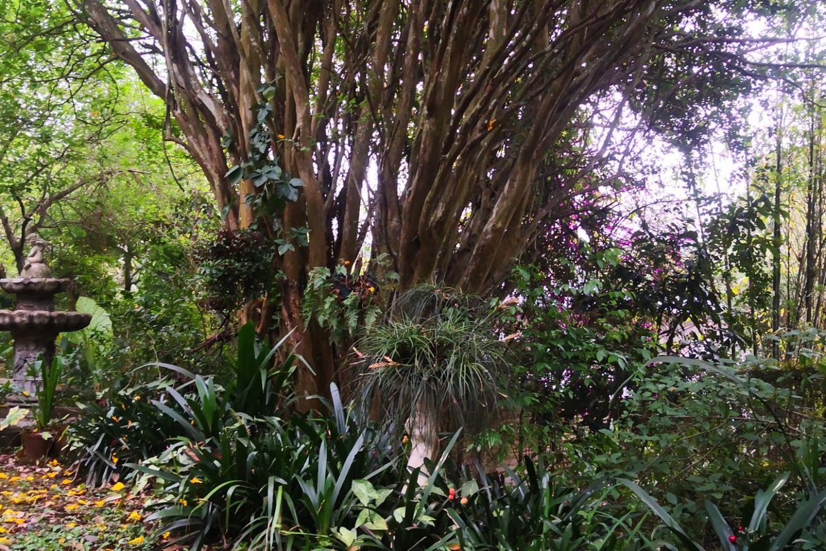 Investment Opportunity: 9-Bedroom, 9-Bathroom Overnight Accommodation in Lush Green Surroundings - Photo 2