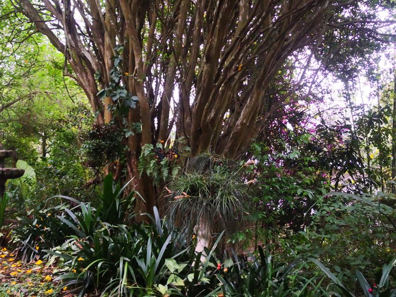 Investment Opportunity: 9-Bedroom, 9-Bathroom Overnight Accommodation in Lush Green Surroundings - Photo 2