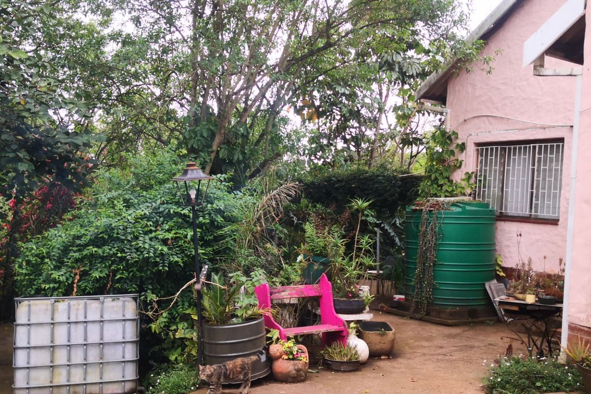 Investment Opportunity: 9-Bedroom, 9-Bathroom Overnight Accommodation in Lush Green Surroundings - Photo 5