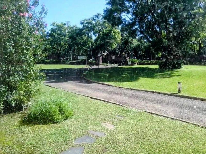 A view of the property entrance featuring a paved driveway leading through a well-maintained garden with mature trees and established landscaping.
