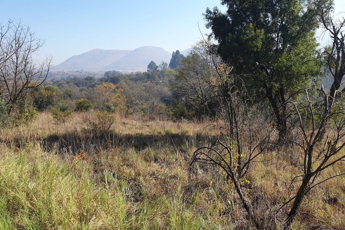 Beautiful Riverfront Stand  in the Crocodile River Reserve - Photo 3