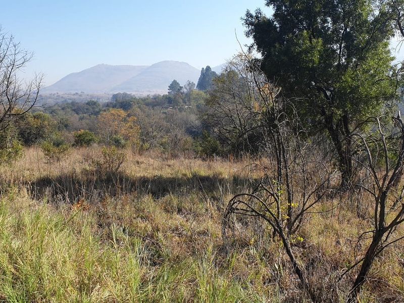 Beautiful Riverfront Stand  in the Crocodile River Reserve - Photo 3