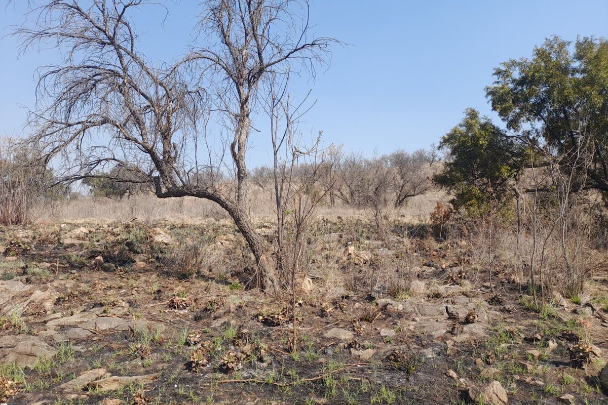 Beautiful Riverfront Stand  in the Crocodile River Reserve - Photo 5