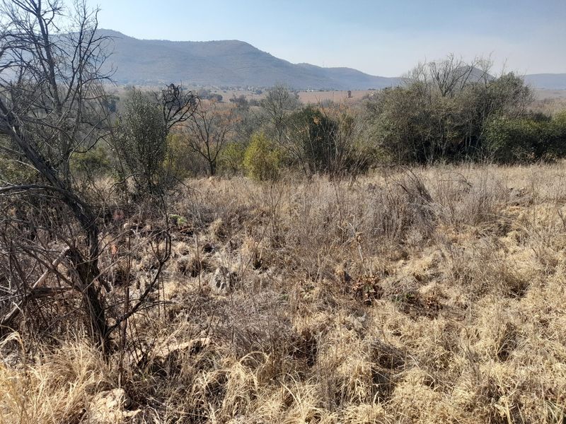 Beautiful Riverfront Stand  in the Crocodile River Reserve - Photo 7