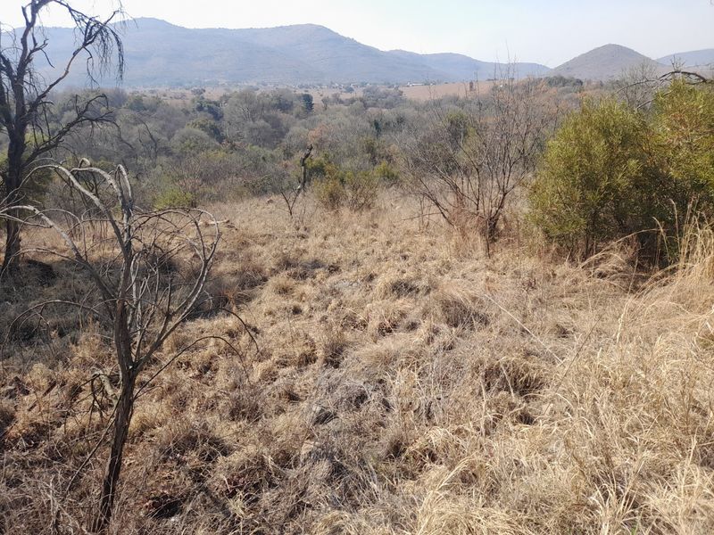 Beautiful Riverfront Stand  in the Crocodile River Reserve - Photo 6