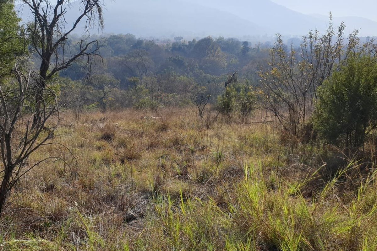 Beautiful Riverfront Stand  in the Crocodile River Reserve - Photo 2